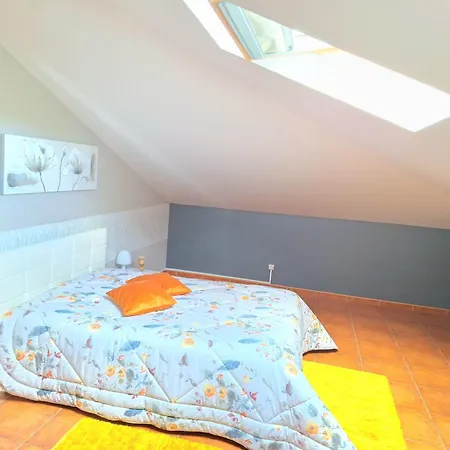 Apartament Discovery