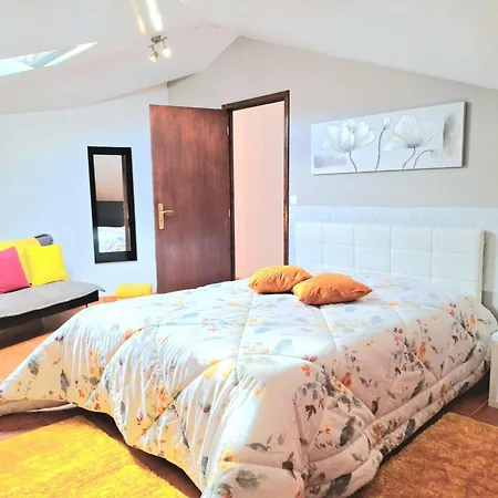 Discovery سانتانا