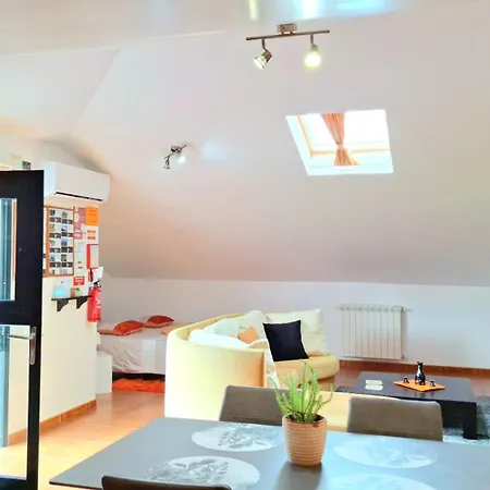 Apartament Discovery